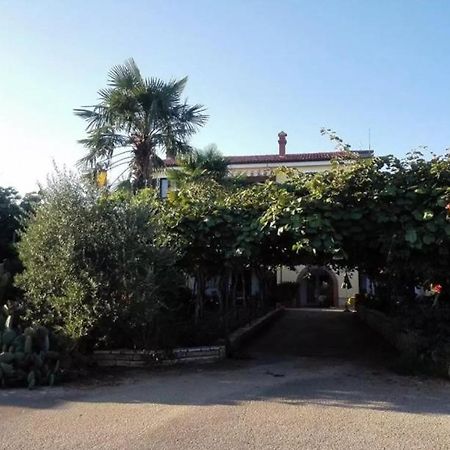 APP Carla Daire Novigrad Istria Dış mekan fotoğraf