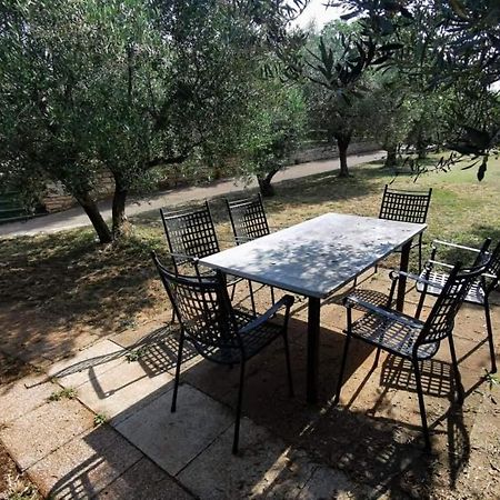 APP Carla Daire Novigrad Istria Dış mekan fotoğraf