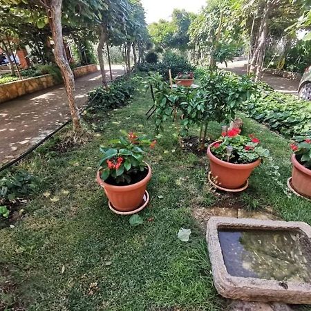 APP Carla Daire Novigrad Istria Dış mekan fotoğraf