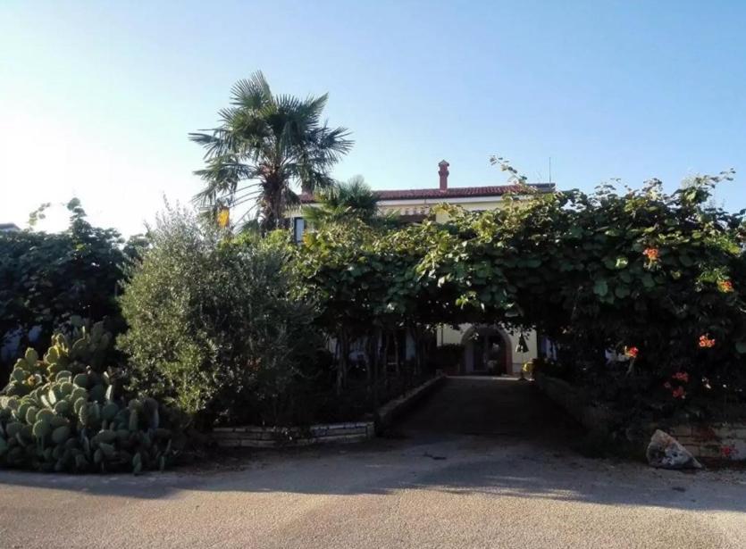 APP Carla Daire Novigrad Istria Dış mekan fotoğraf