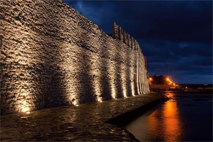 APP Carla Daire Novigrad Istria Dış mekan fotoğraf