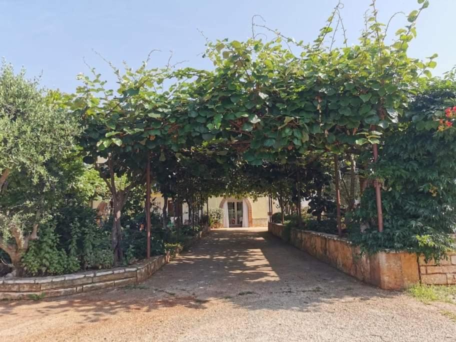 APP Carla Daire Novigrad Istria Dış mekan fotoğraf