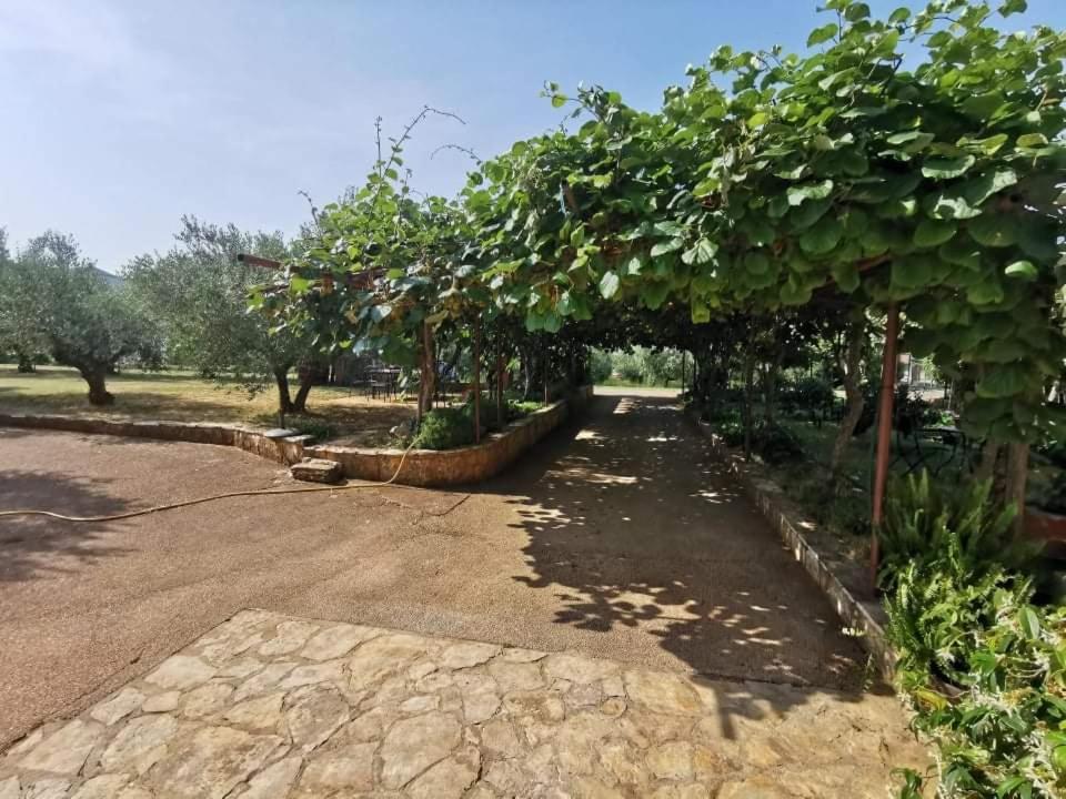 APP Carla Daire Novigrad Istria Dış mekan fotoğraf