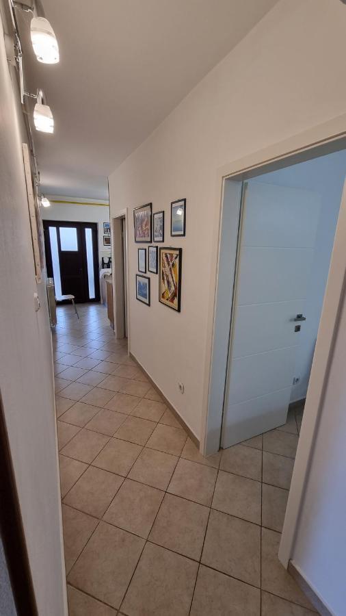 APP Carla Daire Novigrad Istria Dış mekan fotoğraf